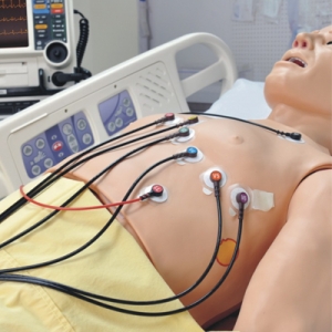 心電圖診斷治療模擬人 Cardio HAL?
