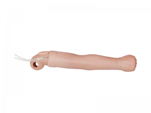 可更換的動靜脈穿刺手臂（右）