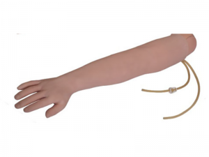 可更換的靜脈穿刺手臂（左手臂）