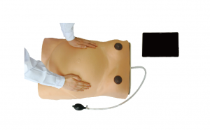 孕婦腹部觸診及胎心監護訓練及考核系統
