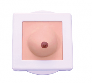 乳房檢查操作模型